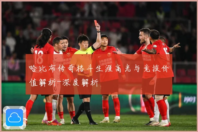 哈比布传奇格斗生涯高光与竞技价值解析-深度解析