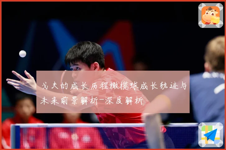 戈夫的成长历程橄榄球成长轨迹与未来前景解析-深度解析