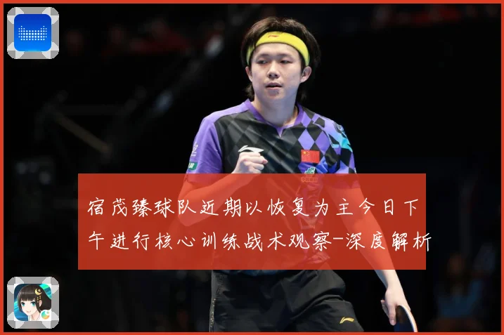 宿茂臻球队近期以恢复为主今日下午进行核心训练战术观察-深度解析